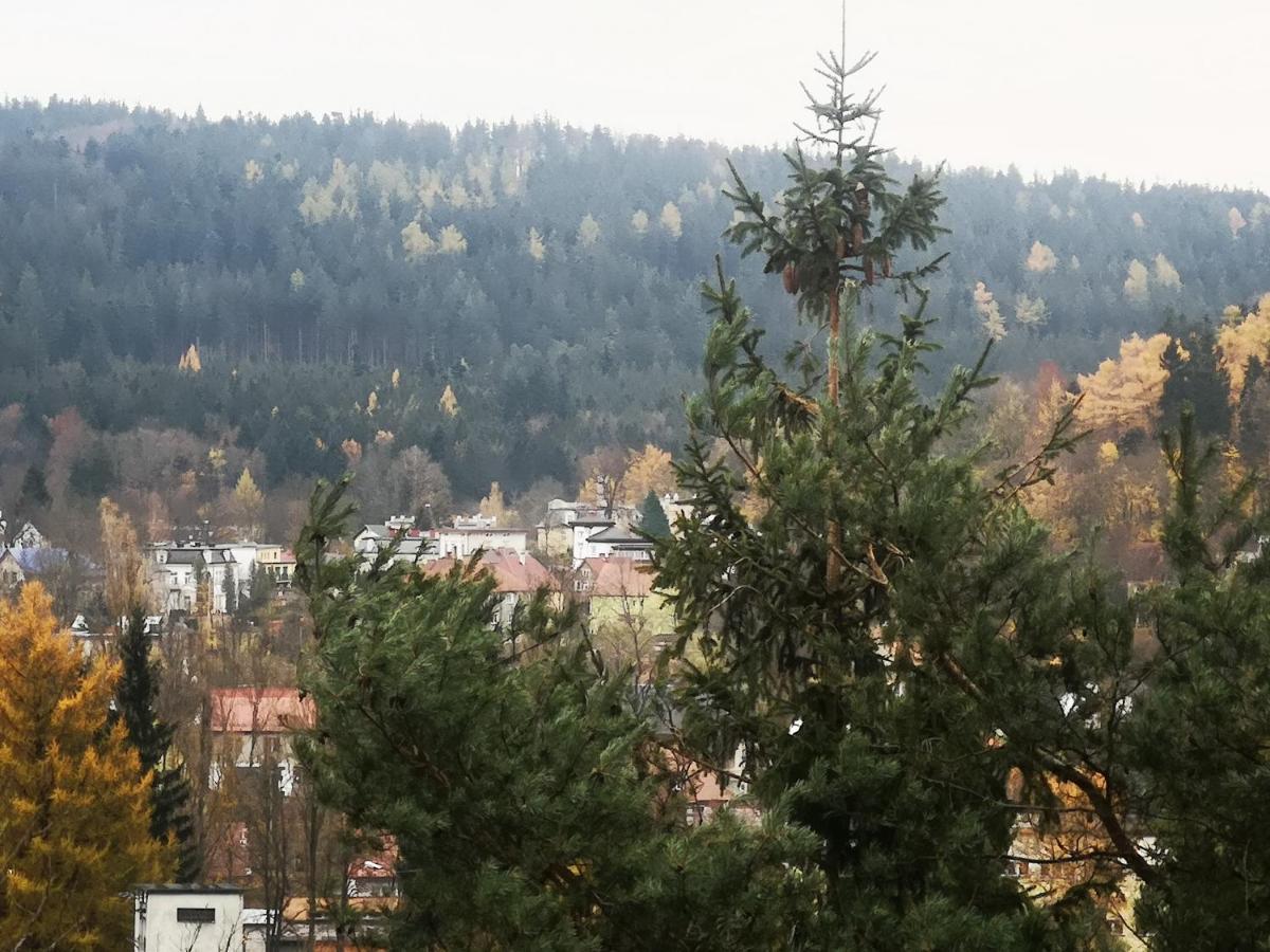 Irysek Daire Lądek-Zdrój Dış mekan fotoğraf